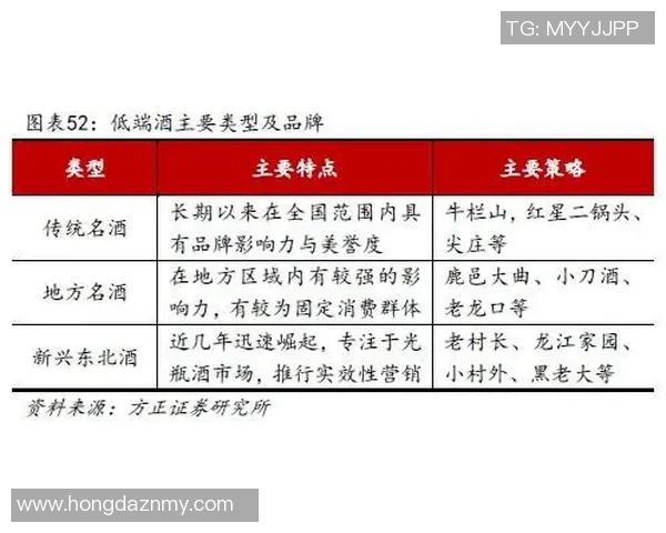 独家解析：成都排球队意识形态的深度对比与影响分析